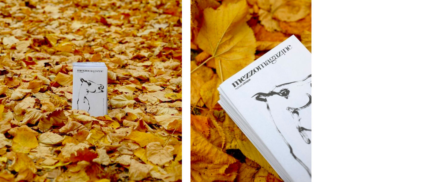 Portfolio Mezzomagazine – Leo Margiotti Studio | Comunicazione e Branding